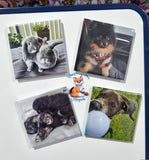 Custom 2x2 inch Magnets